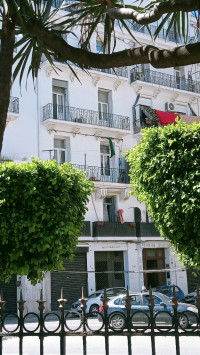 appartement-vente-f4-alger-centre-algerie