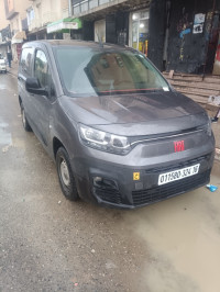 utilitaire-fiat-doblo-italie-2024-les-eucalyptus-alger-algerie