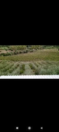Vente Terrain Agricole Tizi ouzou Ait yahia