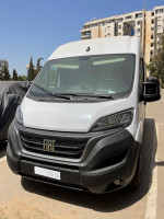 automobiles-fiat-ducato-2023-boumerdes-algerie