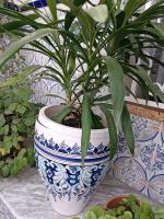 decoration-amenagement-cache-pot-ouled-yaich-blida-algerie