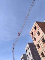 batiment-construction-grue-mobile-boumerdes-algerie