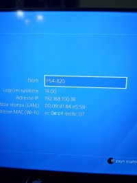 PS4 Fat