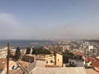 appartement-vente-f3-alger-centre-algerie