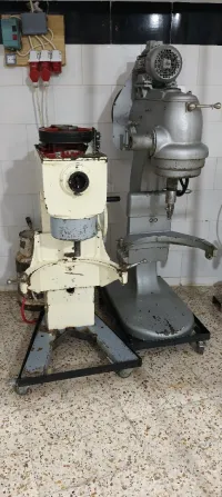 باتنة