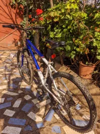 Velo 