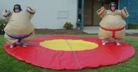 Location des jeux gonflables pour adultes 