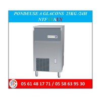 غذائي-و-تموين-pondeuse-a-glacons-25kg-24h-ntf-italy-شراقة-الجزائر