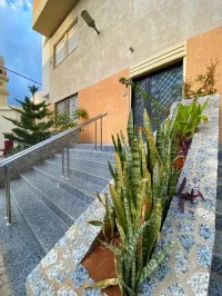 Location Local Alger Hussein dey