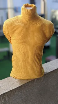 Pull col roulé standard 