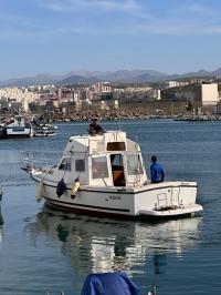 قوارب-صلبة-bateau-جيجل-الجزائر