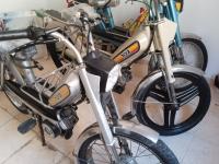 motos-scooters-peugeot-103-1983-meftah-blida-algerie