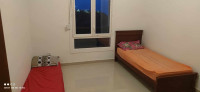 appartement-location-vacances-f4-skikda-filfla-algerie