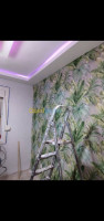 construction-travaux-peintre-decorateur-alger-centre-algerie