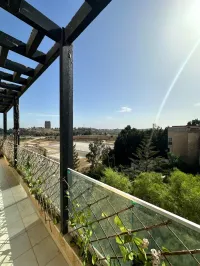 Vente Appartement F3 Alger Dely brahim