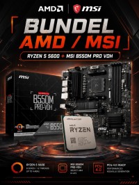 RYZEN 5 5600 + MSI B550M PRO VDH