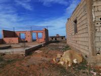 land-sell-mostaganem-sidi-lakhdaara-algeria