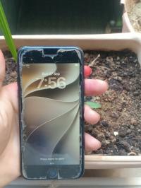 هواتف-ذكية-iphone-se-2020-2-موقف-سيارة-مسيلة-المسيلة-الجزائر
