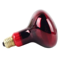 Ampoule infrarouge