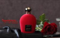 parfums-et-deodorants-original-alger-centre-algerie