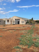 hangar-location-oran-hassi-bounif-algerie