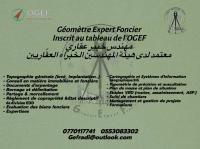 construction-travaux-geometre-expert-foncier-مهندس-خبير-عقاري-saoula-alger-algerie