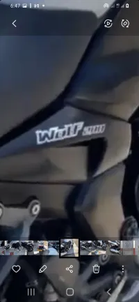 Sym Wolf 2017