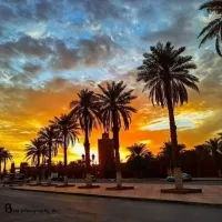 VOYAGE ORGANISE TIMIMOUN