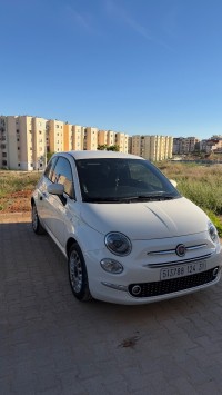 سيارات-fiat-500-2024-club-وهران-الجزائر