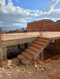 carcasse-vente-tipaza-attatba-algerie