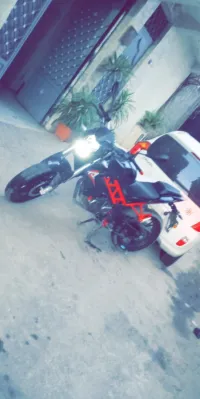 Benillie 150c 2021