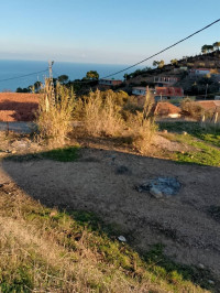 terrain-vente-tipaza-gouraya-algerie