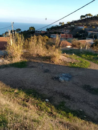 terrain-vente-tipaza-gouraya-algerie