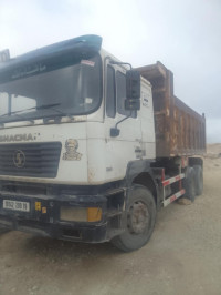 camion-shacman-2009-tizi-nbechar-setif-algerie