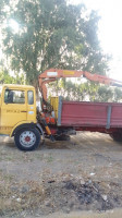 transport-et-demenagement-location-camion-grue-blida-algerie