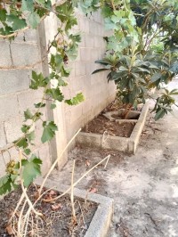 فيلا-بيع-قسنطينة-الخروب-الجزائر