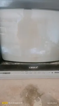 Télévision 