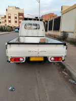 camion-hyundai-h100-2013-kolea-tipaza-algerie