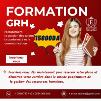 ecoles-formations-formation-qualifiante-en-gestion-des-ressources-humaines-alger-centre-algerie