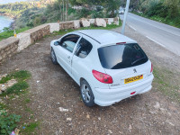 voitures-peugeot-206-2004-algerie