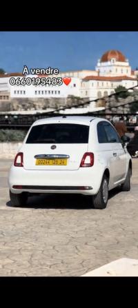 سيارات-fiat-500-2025-cult-mib-قسنطينة-الجزائر