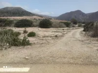 Vente Terrain Oran Oran