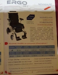 Fauteuil roulant electrique adulte