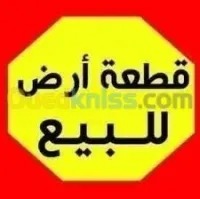 Vente Terrain Tipaza Hadjout