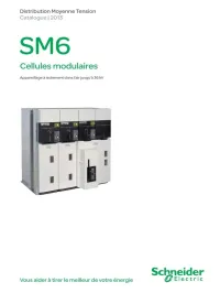 Cellule Moyens tension 10kv 