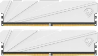 Netac Shadow 2 32GB (2x16GB) DDR4 3200MHz (PC4-25600) C16 1.35V LED Desktop Memory