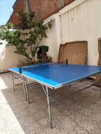 Table de pingpong de table free ppt 130 marque dechatlon