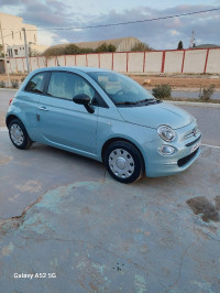 voitures-fiat-500-2024-cult-mostaganem-algerie