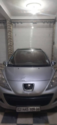 voitures-peugeot-207-2009-oran-algerie