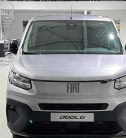 utilitaire-fiat-professional-doblo-2024-ain-defla-algerie